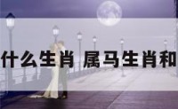 属马生肖配什么生肖 属马生肖和什么生肖配