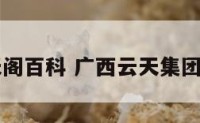 南宁云天阁百科 广西云天集团南宁项目