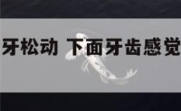 感觉自己下牙松动 下面牙齿感觉松了怎么回事