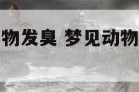 梦见腐烂的动物发臭 梦见动物腐烂是什么意思