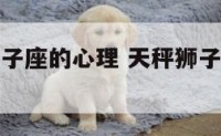 天秤座在狮子座的心理 天秤狮子在一起会怎样