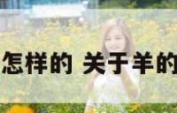 羊的爱情怎样的 关于羊的爱情句子