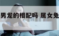 属女兔和属男龙的相配吗 属女兔和属男龙的合不合