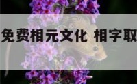 宝宝起名字免费相元文化 相字取名寓意及含义