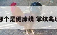 手掌纹哪个是健康线 掌纹出现健康线