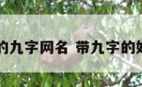 含数字的九字网名 带九字的好听网名