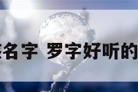 罗字男孩名字 罗字好听的男孩名字