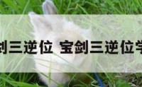 健康宝剑三逆位 宝剑三逆位学业结果