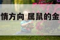 属鼠金牛女爱情方向 属鼠的金牛座女生喜欢什么男人