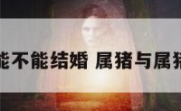 属猪跟猪能不能结婚 属猪与属猪能结婚吗