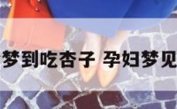 孕妇做梦梦到吃杏子 孕妇梦见想吃杏子