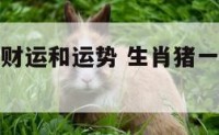 生肖猪一生财运和运势 生肖猪一生财运和运势如何