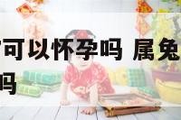 属兔2017可以怀孕吗 属兔2021年可以生孩子吗