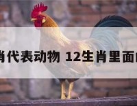 12生肖代表动物 12生肖里面的动物