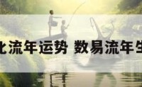 数易文化流年运势 数易流年生命信息