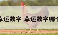 属于幸运数字 幸运数字哪个最好