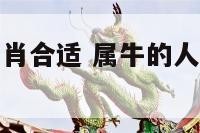 属牛跟什么生肖合适 属牛的人和什么生肖最合