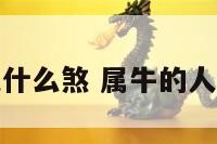 属牛的人犯什么煞 属牛的人犯什么煞气