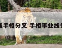 事业线手相分叉 手相事业线分叉多