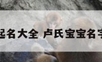 卢氏男孩起名大全 卢氏宝宝名字大全免费
