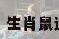 生肖运势查询鼠 生肖鼠运势2022年运程