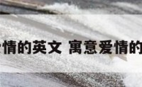 寓意爱情的英文 寓意爱情的英文名