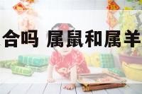 属鼠跟属羊适合吗 属鼠和属羊的适合做夫妻吗