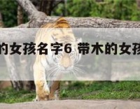 名字带木的女孩名字6 带木的女孩名字免费大全集