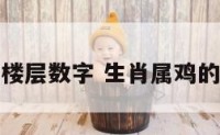属鸡楼层数字 生肖属鸡的楼层
