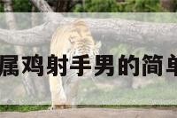 45年属鸡射手男的简单介绍