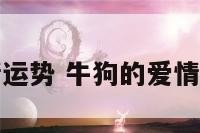 牛狗的爱情运势 牛狗的爱情运势是什么