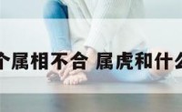 属虎与哪个属相不合 属虎和什么属相不和