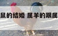 属羊的跟属鼠的结婚 属羊的跟属鼠的结婚会怎么样