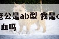 我是o型血老公是ab型 我是o型血老公是ab型血会溶血吗