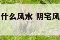 阳宅坐向西南什么风水 阴宅风水坐西南向东北好不好