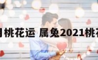属兔本月桃花运 属兔2021桃花运怎样