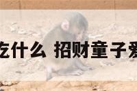 招财童子爱吃什么 招财童子爱吃什么东西