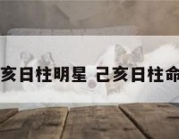 己亥日柱明星 己亥日柱命理