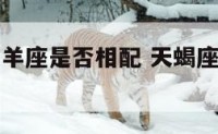 天蝎座和白羊座是否相配 天蝎座和白羊座的配对怎么样