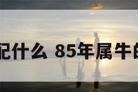 85年属牛配什么 85年属牛的最佳配偶