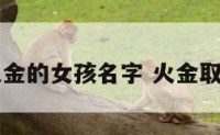 火金的女孩名字 火金取名