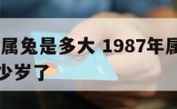 1987年属兔是多大 1987年属兔是什么命多少岁了