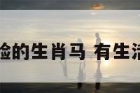 有生活经验的生肖马 有生活经验的人