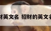 男人招财英文名 招财的英文名字男生