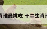 十二生肖谁最挑吃 十二生肖谁是吃货