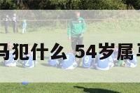 54岁属马犯什么 54岁属马什么命