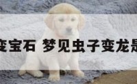 梦见虫子变宝石 梦见虫子变龙是什么意思