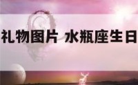 水瓶座生日礼物图片 水瓶座生日礼物图片女生