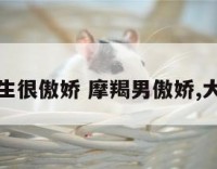 摩羯座男生很傲娇 摩羯男傲娇,大男子主义