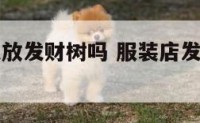 服装店可以放发财树吗 服装店发财树放哪里最旺财